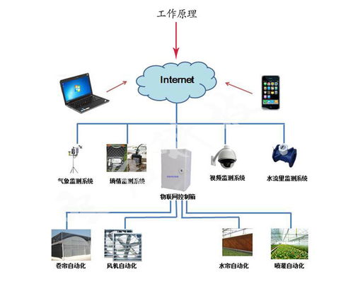 圣啟農業物聯網技術 引領溫室農業發展的網絡技術革命